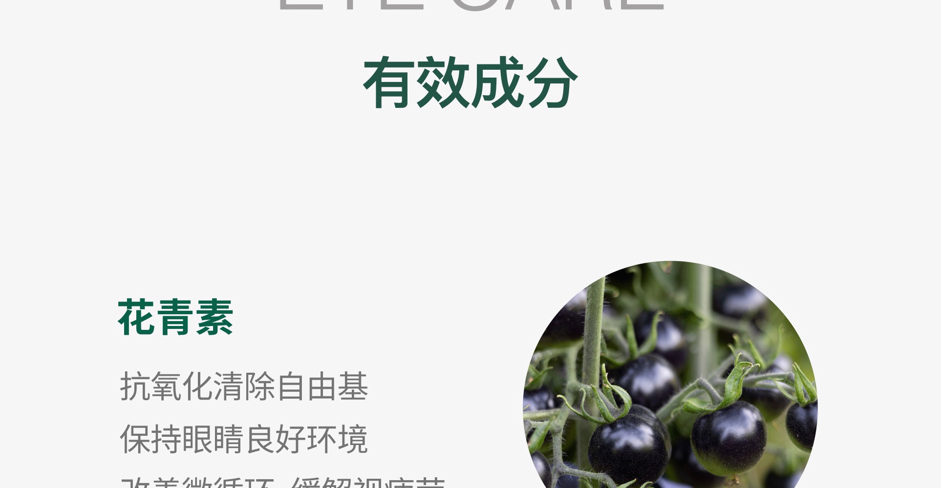 产品说明20