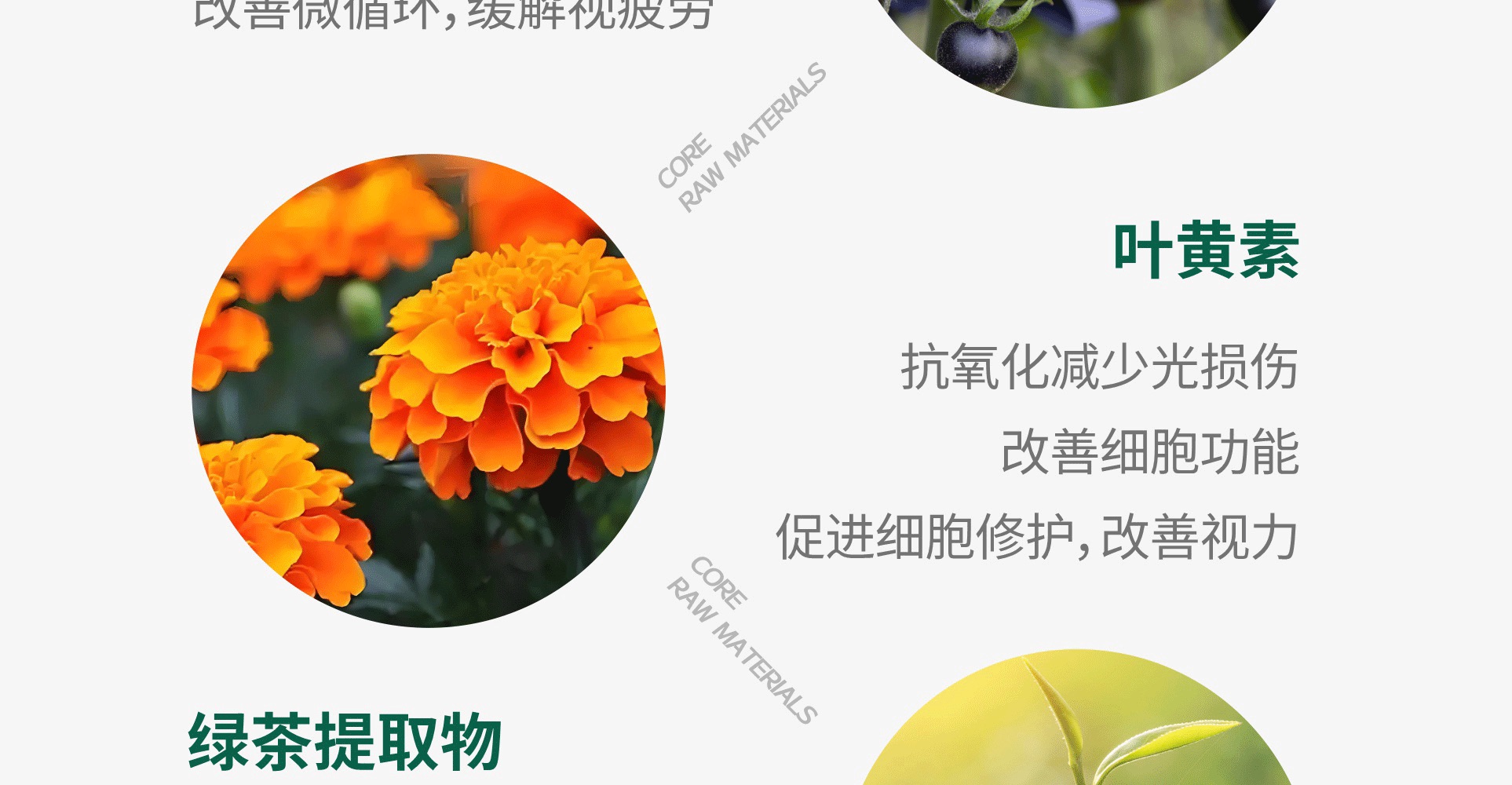 产品说明21